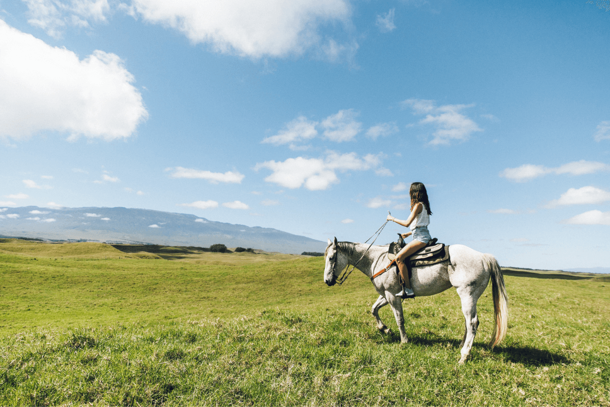 Celebrate the Year of the Horse with these Equine Adventures Across Hawaiʻi