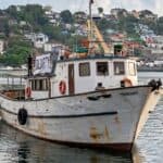 International Convoy Delivers Humanitarian Aid To Cuba Amid Worsening Energy Crisis