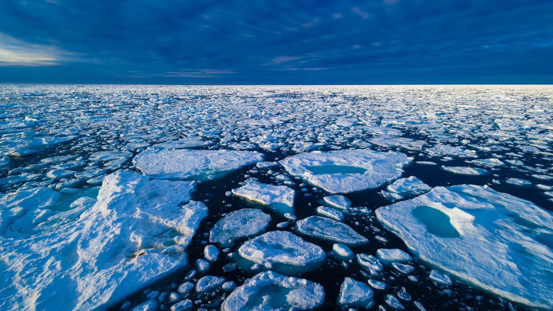 New forecasts offer early warning of Arctic sea ice loss